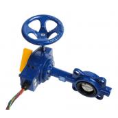 BUTTERFLY VALVE WITH REDUCER AND SWICH