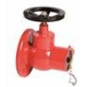 GLOBE VALVE BSS336 2"1/2 (Art. B03)