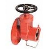 FLANGED GATE VALVE BSS336 2"1/2 (Art.B04)